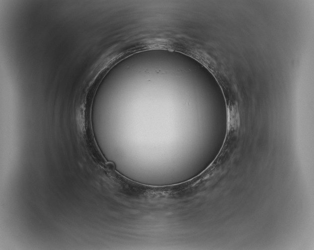 X0000114620291200910201138