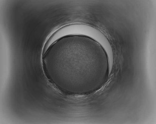X0000114620292200910201138