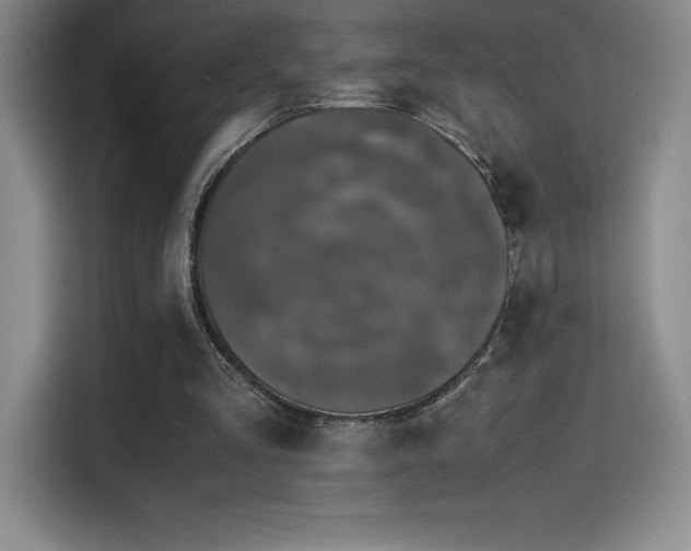 X0000114620293200910201138