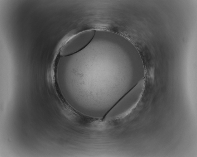 X0000114620294200910201138