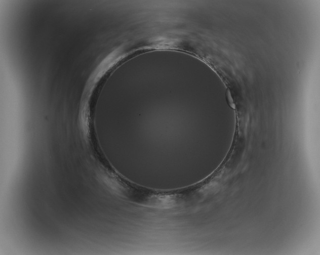 X0000114620295200910201138