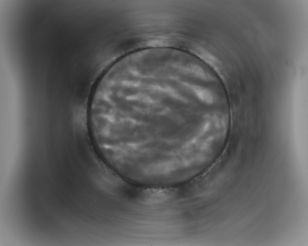 X0000114620297200910201138