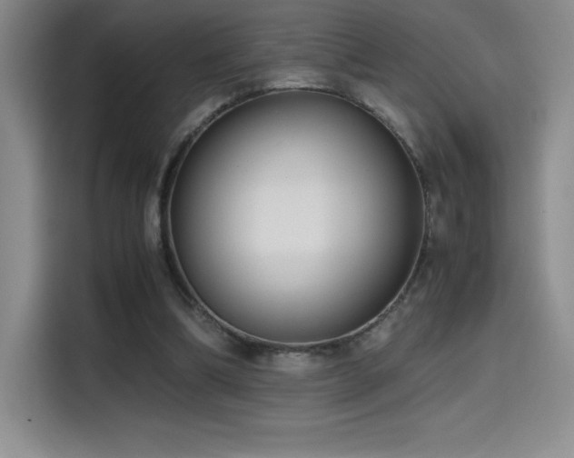 X0000114620298200910201138