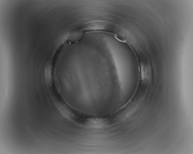 X0000114620300200910201138
