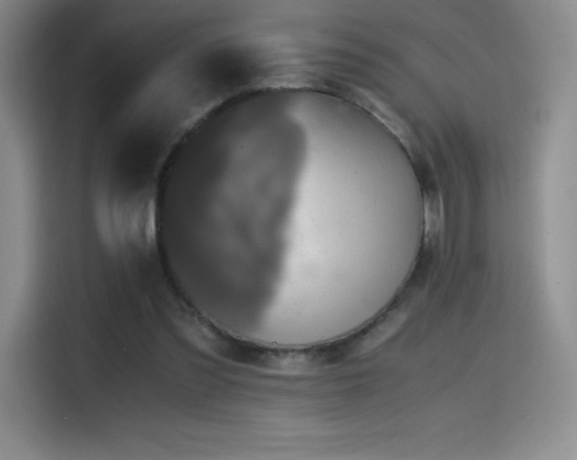X0000114620301200910201138
