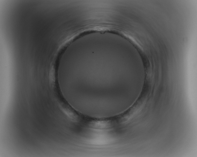 X0000114620303200910201138