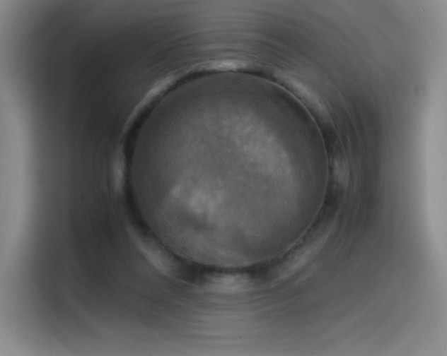X0000114620304200910201138