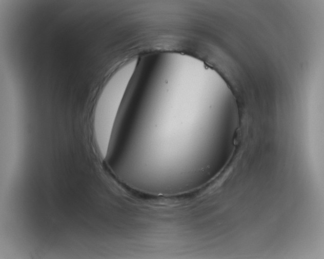 X0000114620305200910201138