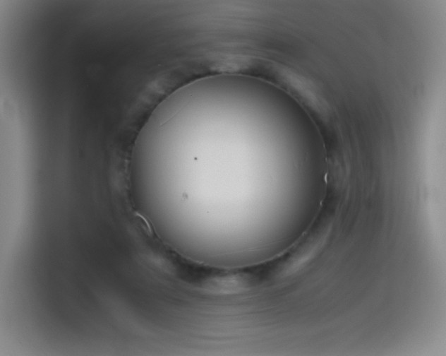 X0000114620307200910201138