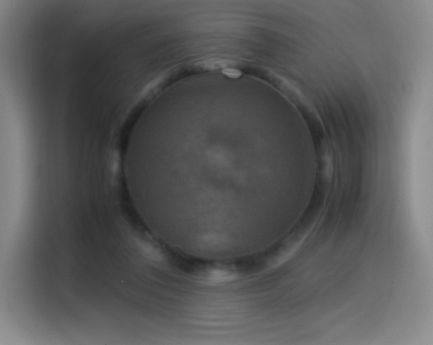 X0000114620308200910201138