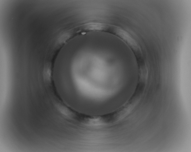 X0000114620309200910201138