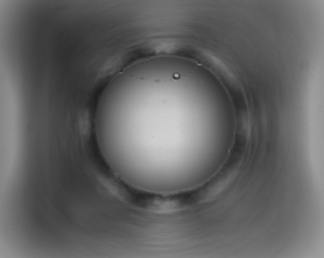 X0000114620311200910201138