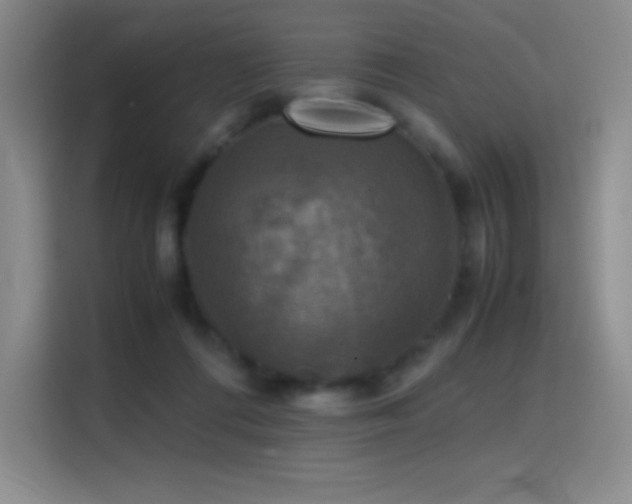 X0000114620312200910201138