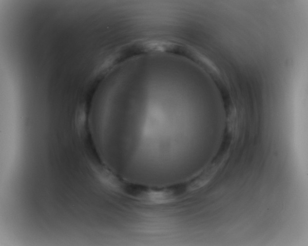 X0000114620314200910201138