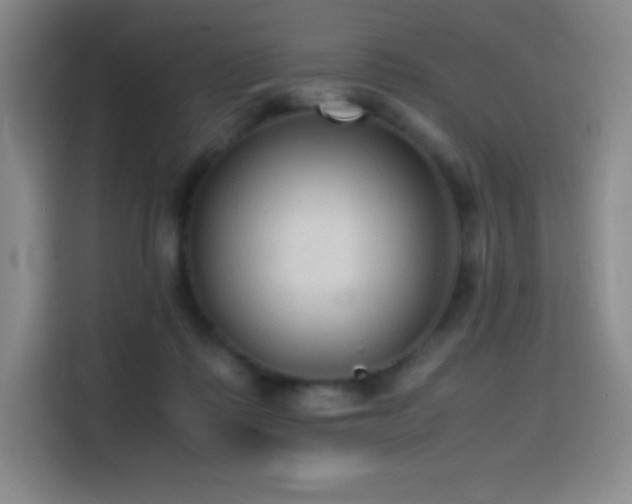 X0000114620315200910201138