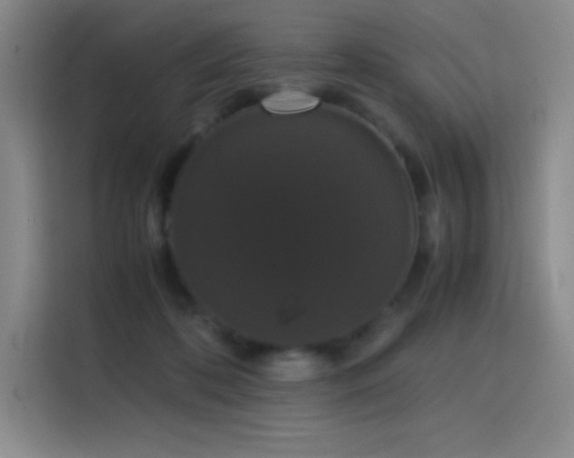 X0000114620316200910201138