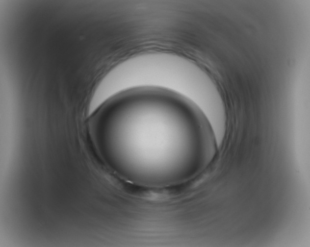 X0000114620317200910201138