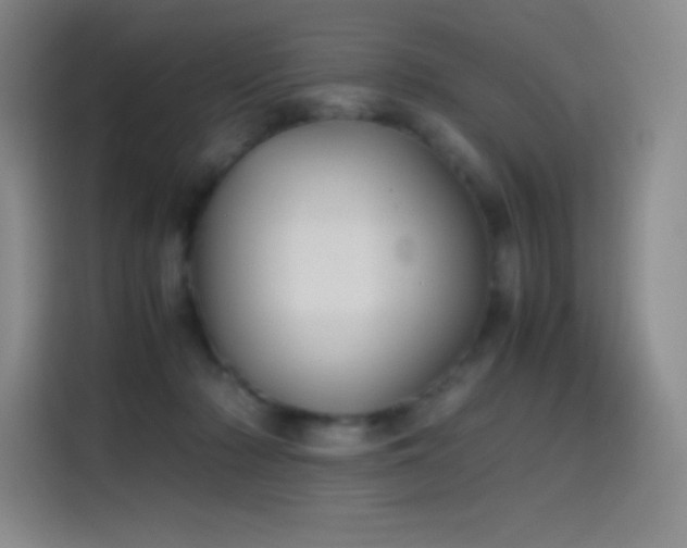 X0000114620318200910201138
