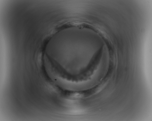 X0000114620319200910201138