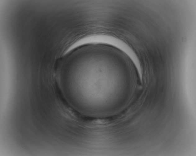 X0000114620320200910201138