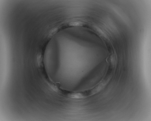 X0000114620322200910201138