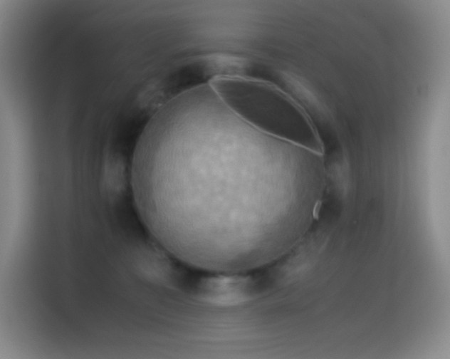 X0000114620323200910201137