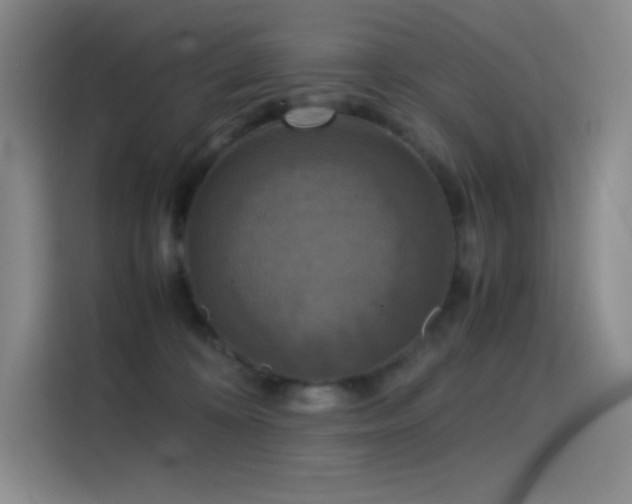 X0000114620324200910201137
