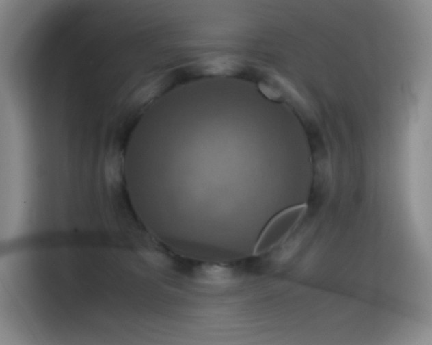 X0000114620325200910201137