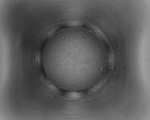 X0000114620326200910201137