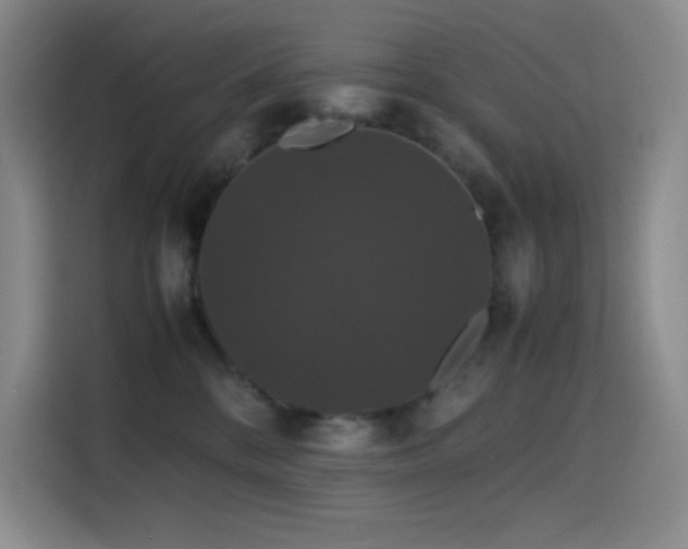 X0000114620328200910201137