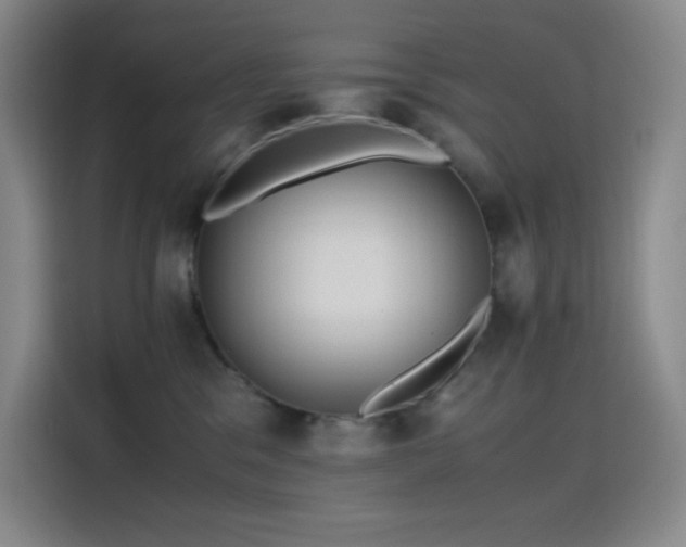 X0000114620329200910201137