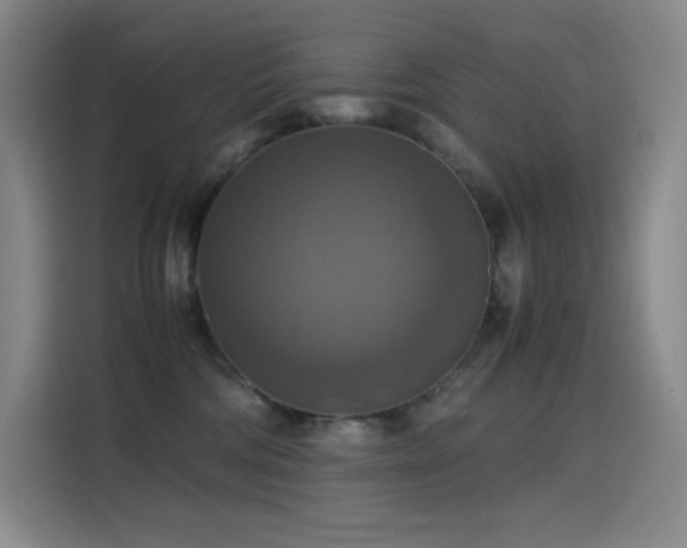 X0000114620330200910201137