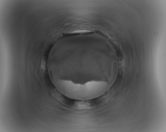 X0000114620331200910201137