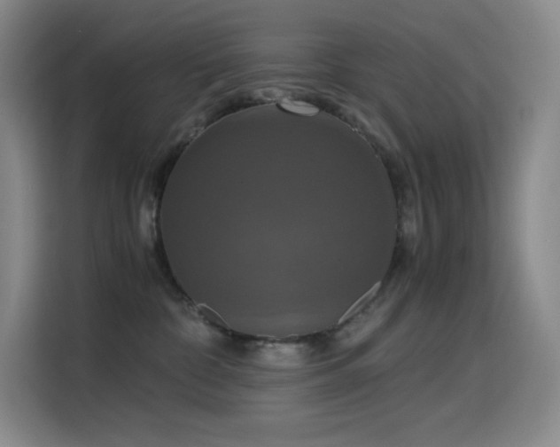 X0000114620332200910201137