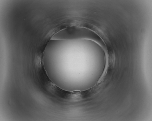 X0000114620333200910201137