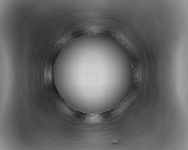 X0000114620334200910201137