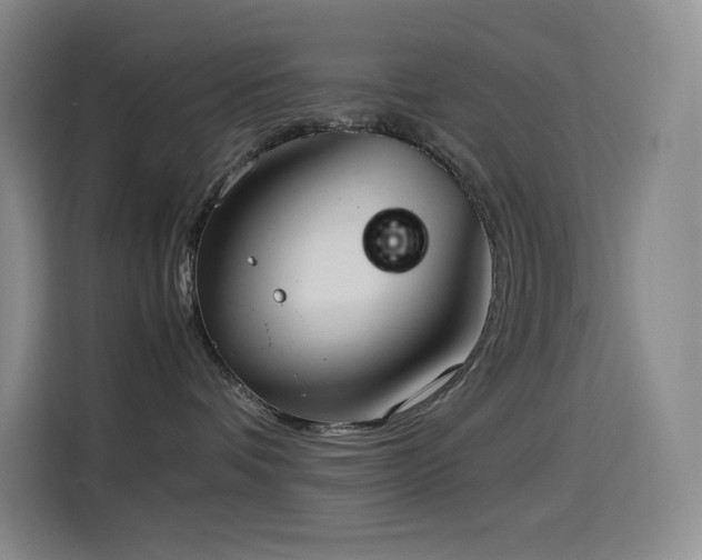 X0000114620336200910201137