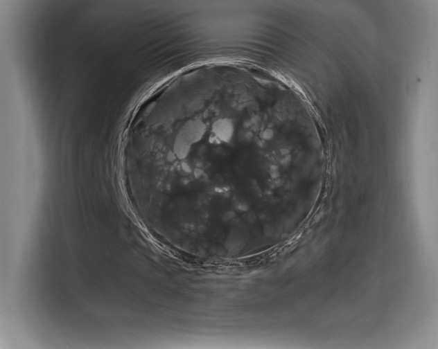 X0000114620337200910201137