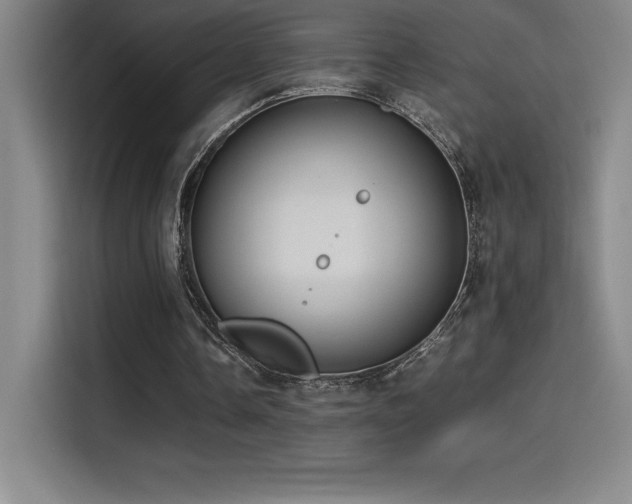 X0000114620338200910201137
