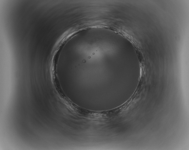 X0000114620339200910201137