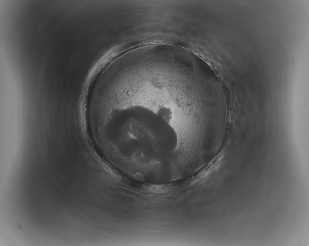 X0000114620341200910201137