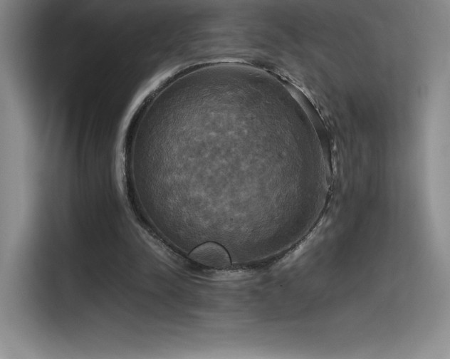 X0000114620342200910201137