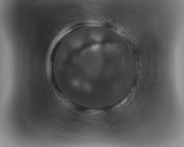 X0000114620343200910201137