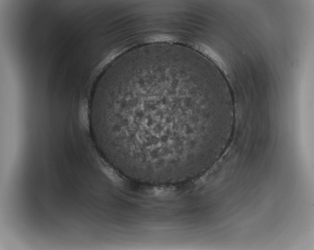 X0000114620345200910201137