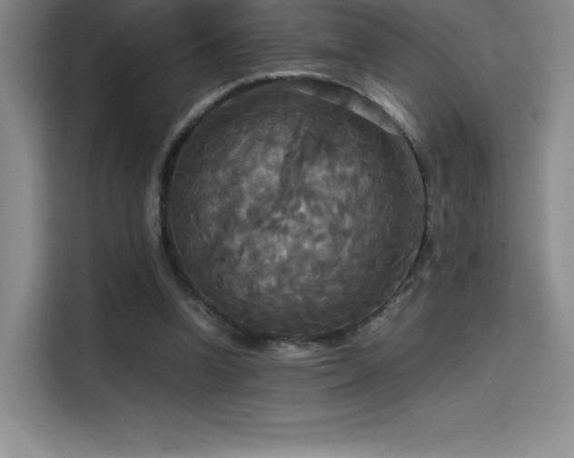 X0000114620346200910201137