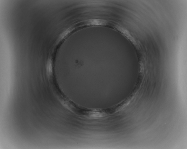 X0000114620347200910201137