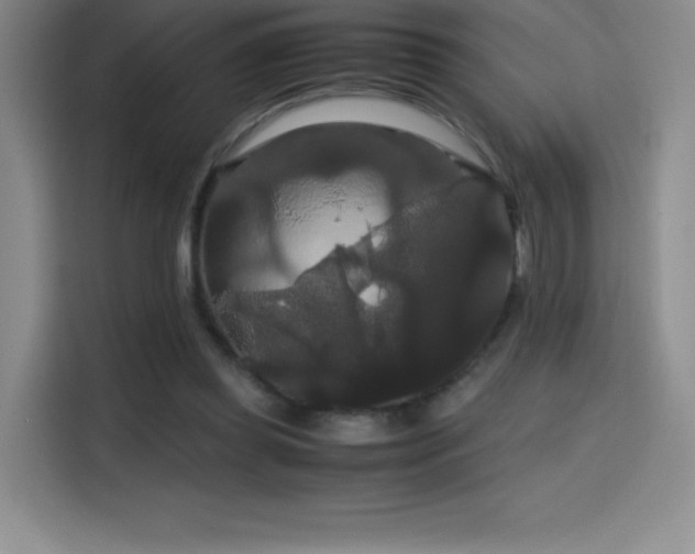 X0000114620349200910201137