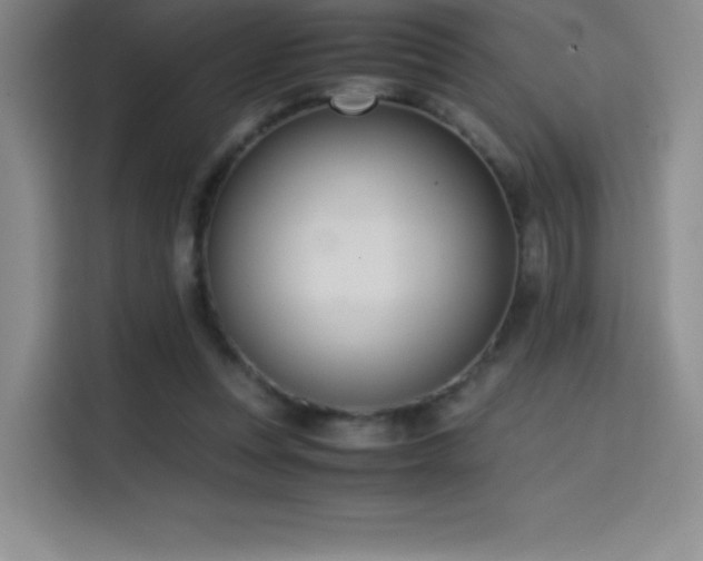 X0000114620351200910201137