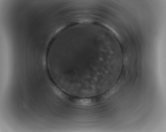 X0000114620353200910201137