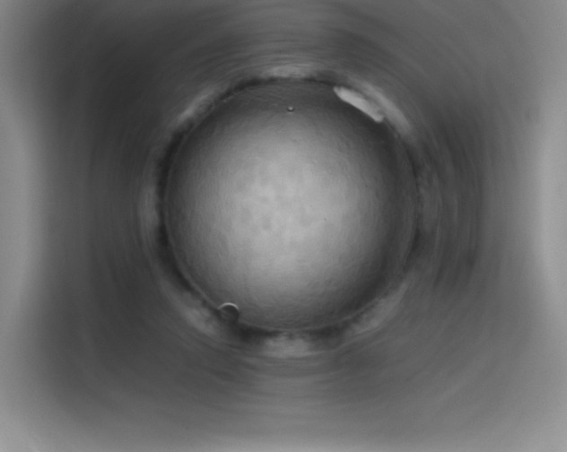 X0000114620354200910201137